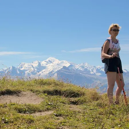 Hébergement de vacances Le Hameau De Chantemerle *